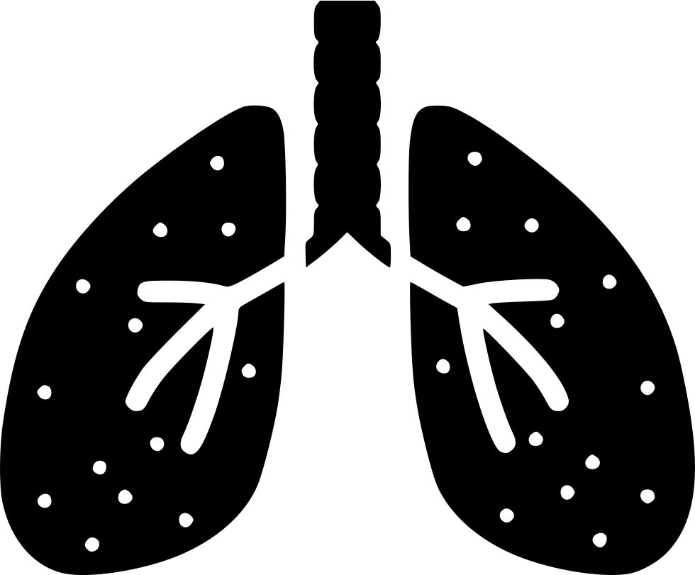 Lungs PNG    图片编号:74903
