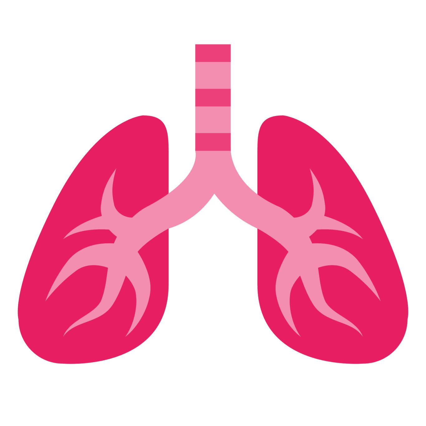 Lungs PNG    图片编号:74904