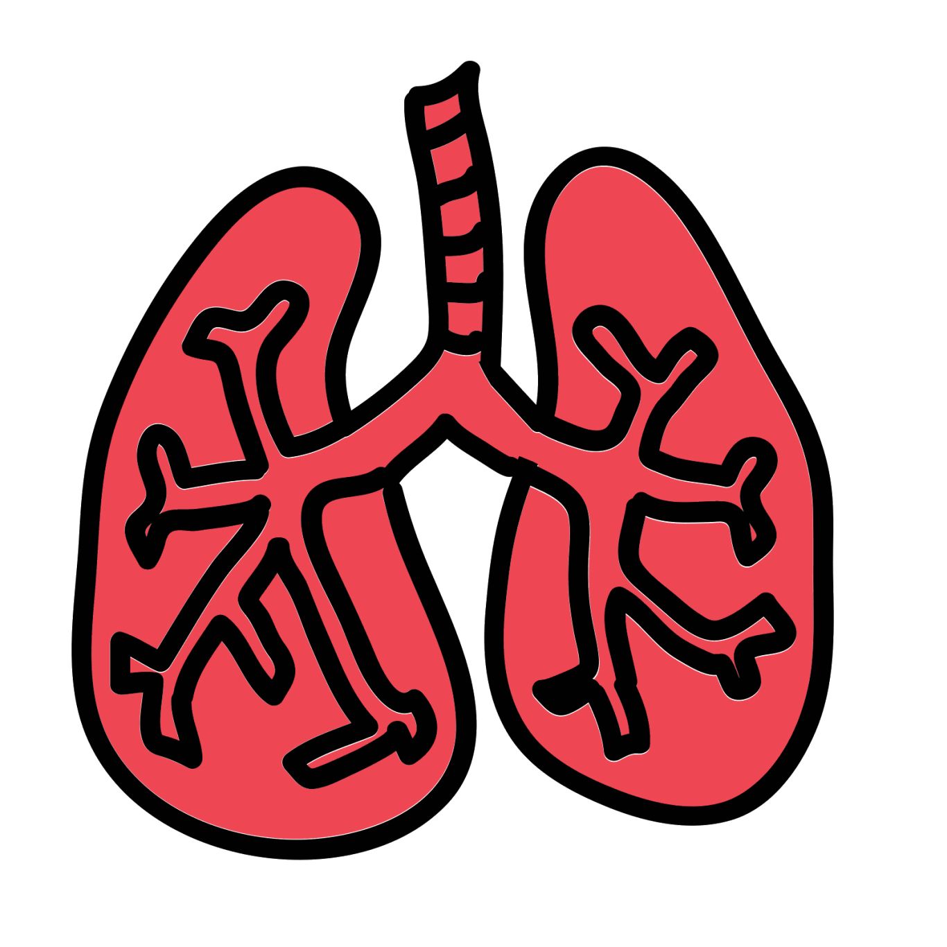 Lungs PNG    图片编号:74906