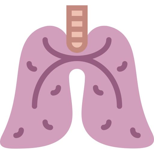Lungs PNG    图片编号:74931