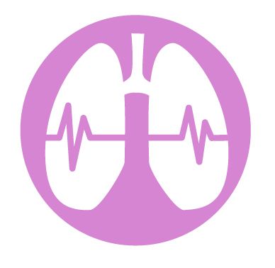 Lungs PNG    图片编号:74934