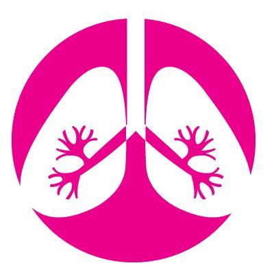 Lungs PNG    图片编号:74935