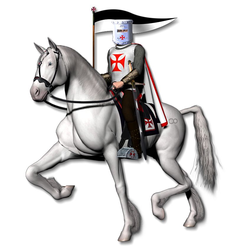 Medieval knight PNG    图片编号:15932