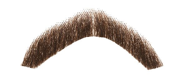 Moustache PNG    图片编号:55058