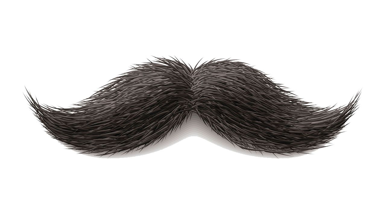 Moustache PNG    图片编号:55059