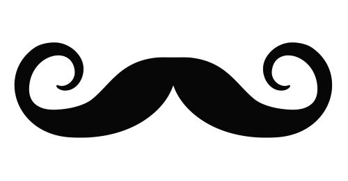 Moustache PNG    图片编号:55061