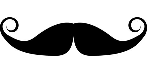 Moustache PNG    图片编号:55073