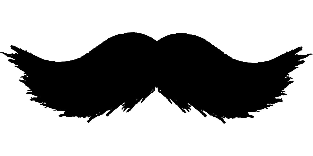 Moustache PNG    图片编号:55074