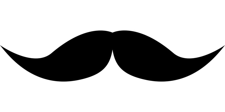Moustache PNG    图片编号:55080
