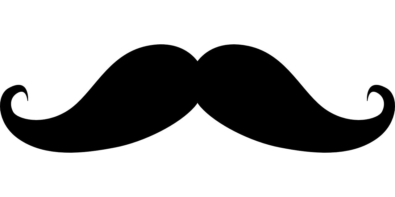 Moustache PNG    图片编号:55086