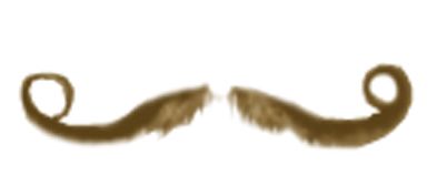 Moustache PNG    图片编号:55046