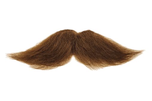 Moustache PNG    图片编号:55048
