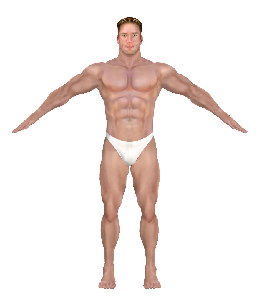 Muscle PNG    图片编号:40350