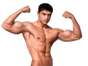Muscle PNG    图片编号:40356