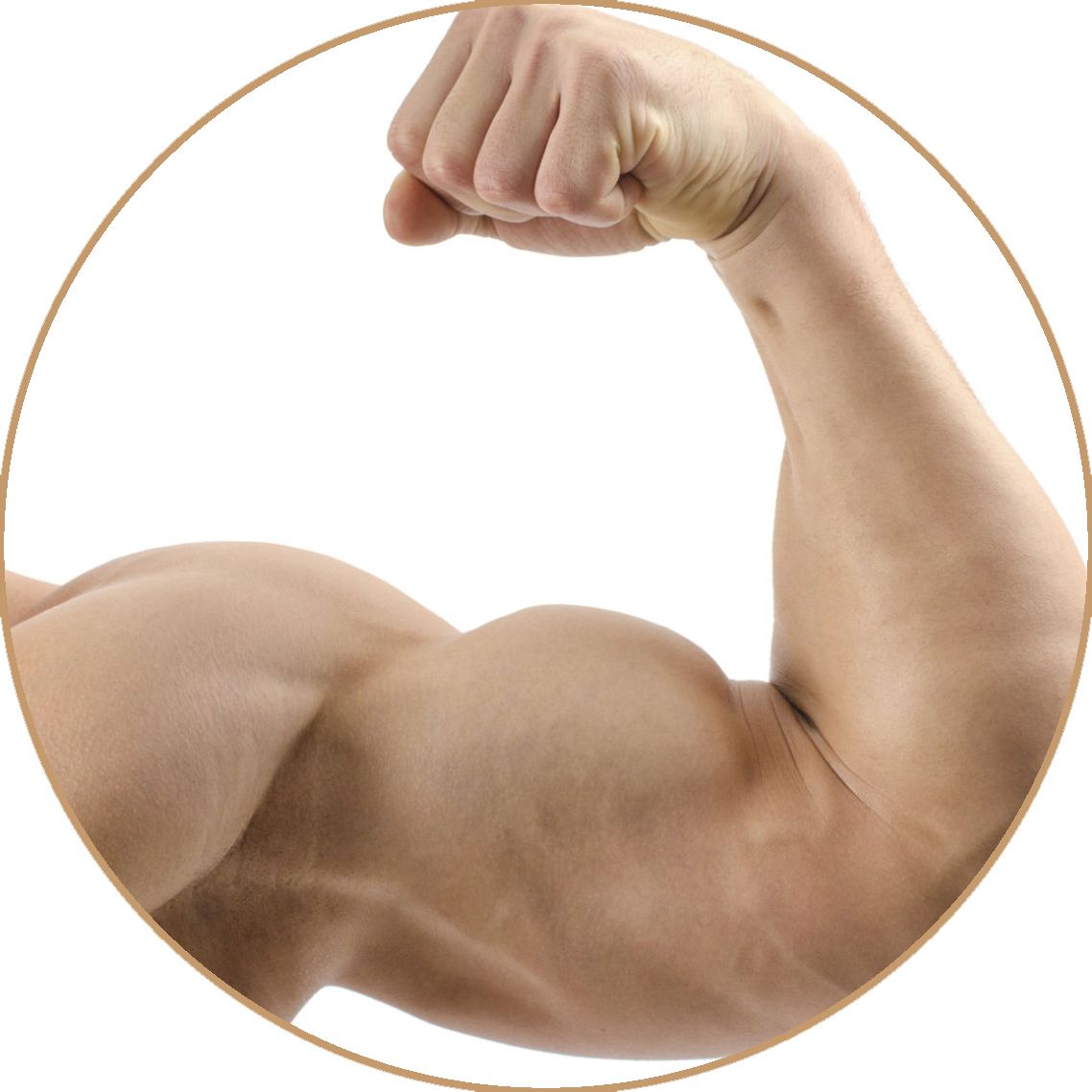 Muscle PNG    图片编号:40364