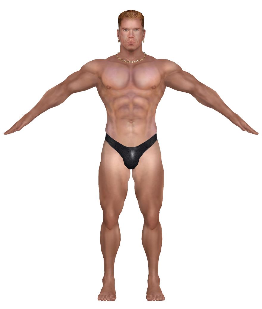 Muscle body PNG    图片编号:40366
