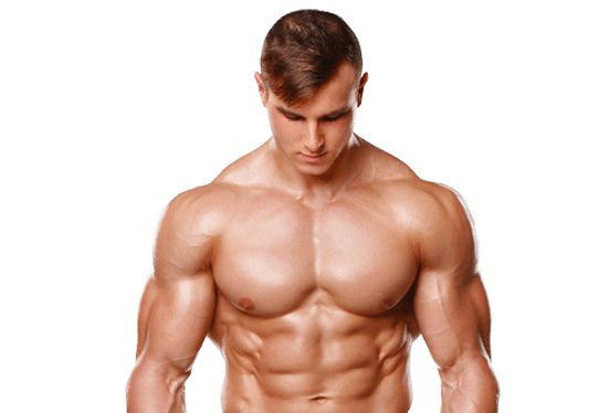 Muscle PNG    图片编号:40370