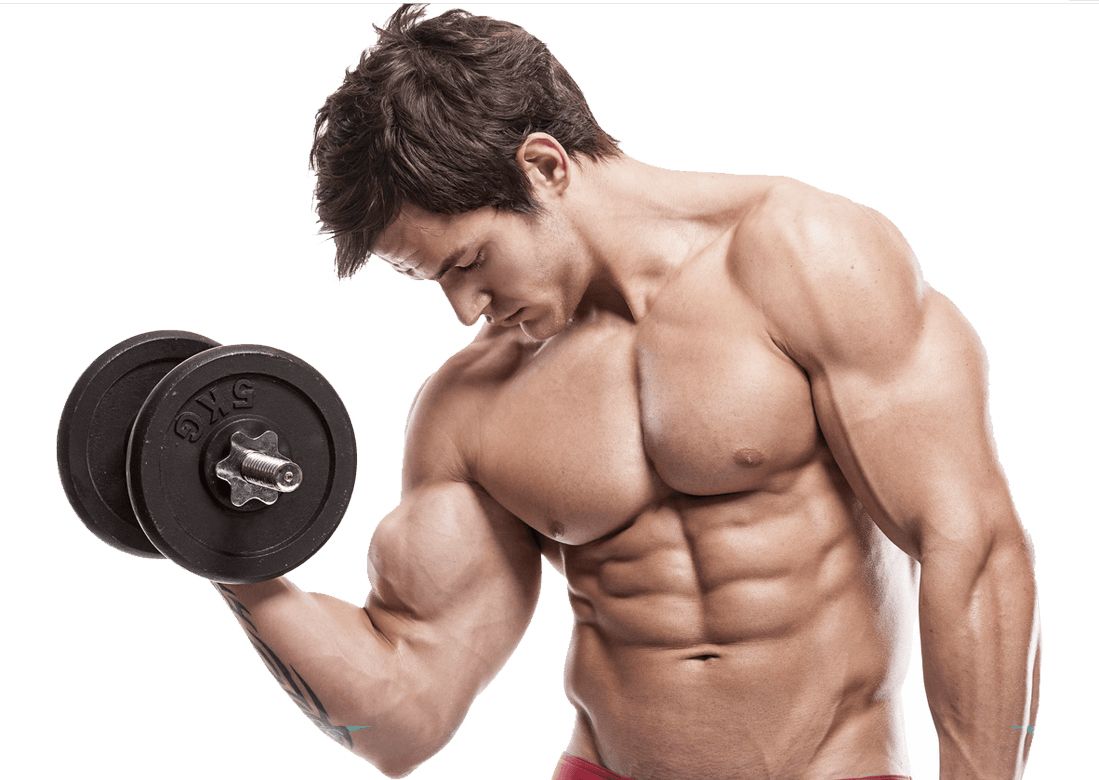 Muscle PNG    图片编号:40375