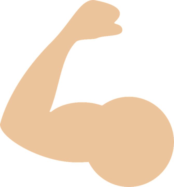 Muscle PNG    图片编号:40380