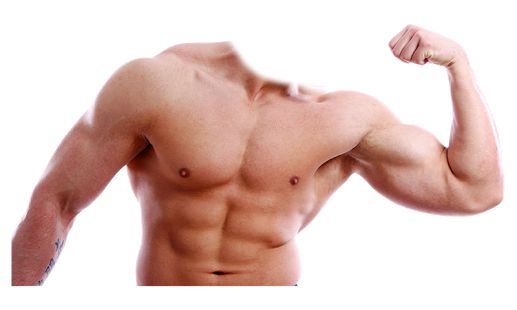 Muscle PNG    图片编号:40389