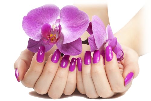 Nails manicure PNG    图片编号:39126