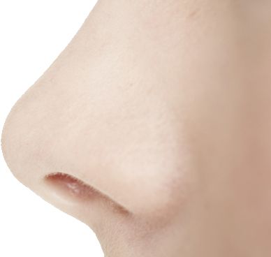 Human nose PNG    图片编号:25449
