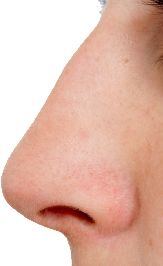 Human nose PNG    图片编号:25456
