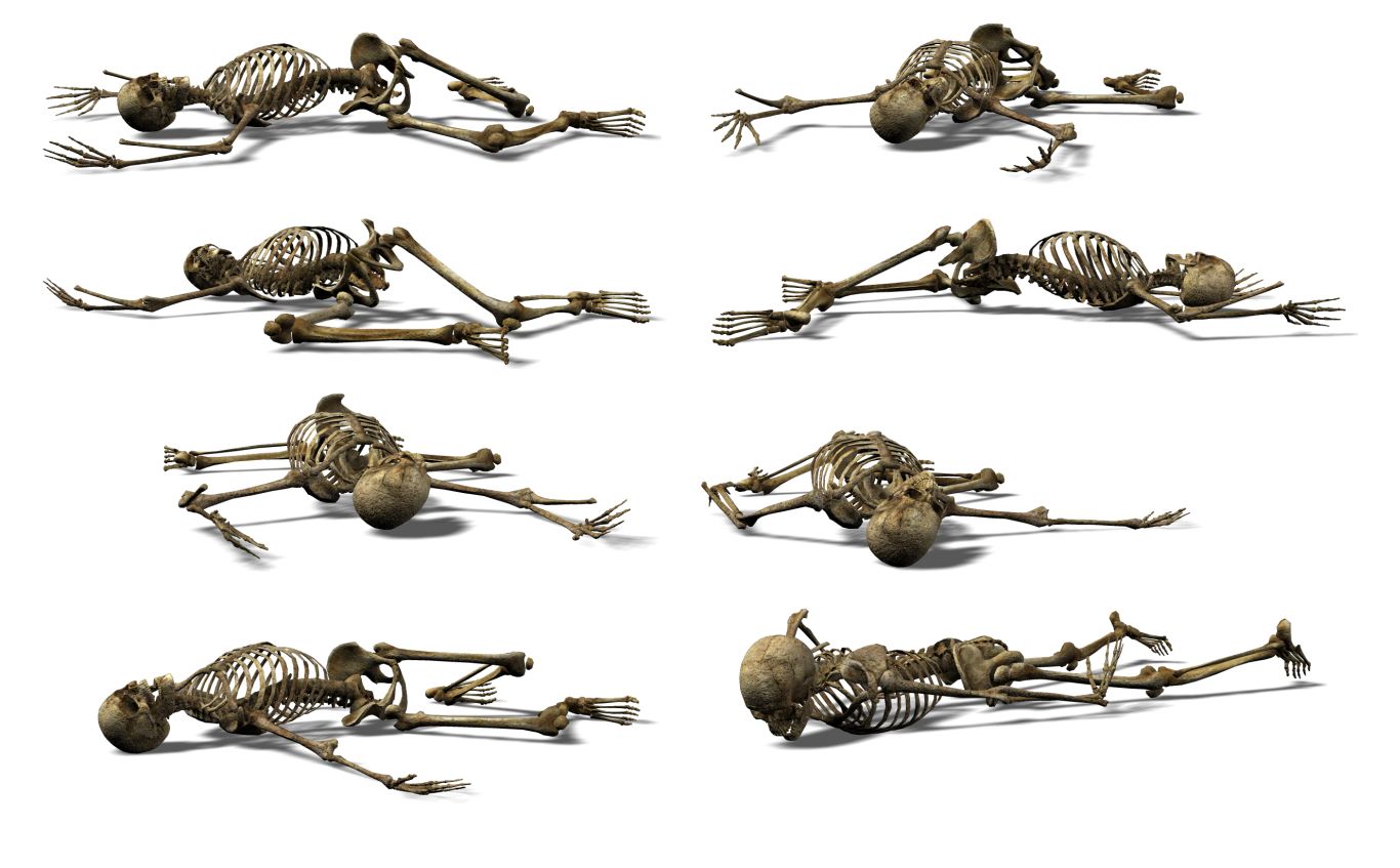 Skeleton PNG    图片编号:42622
