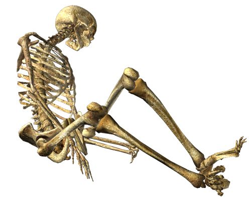 Skeleton PNG    图片编号:42624