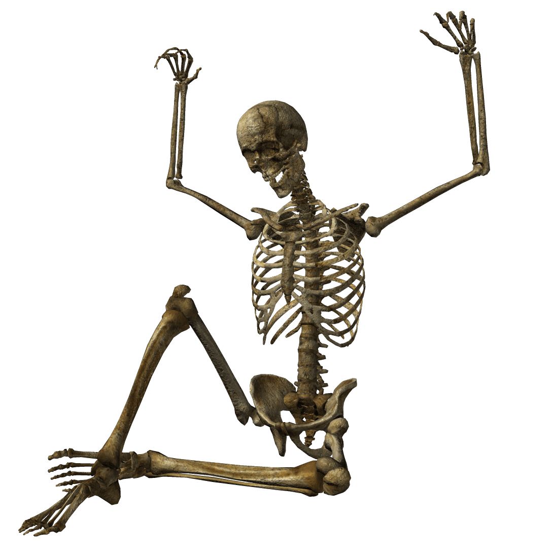 Skeleton PNG    图片编号:42627