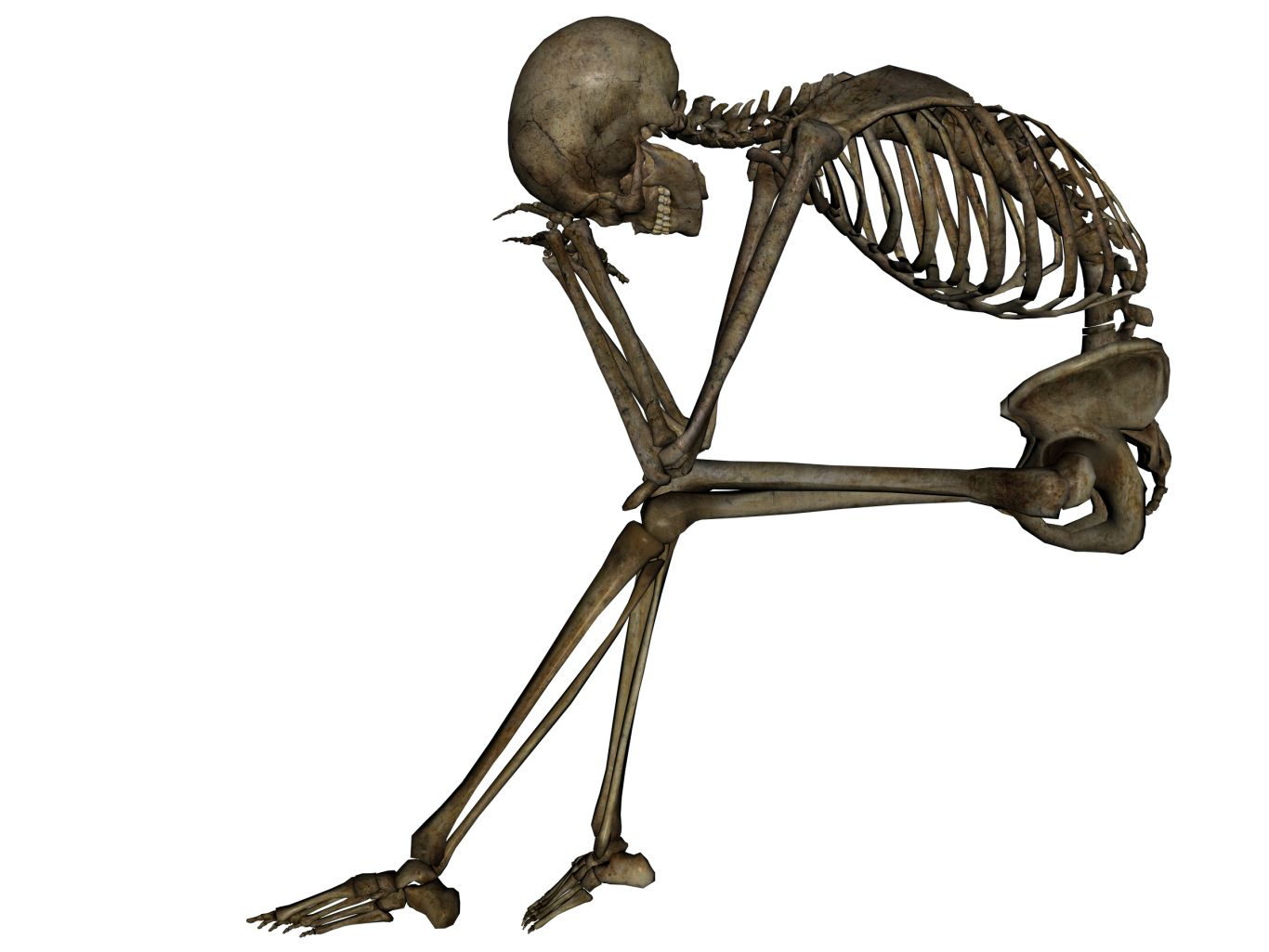 Skeleton PNG    图片编号:42632