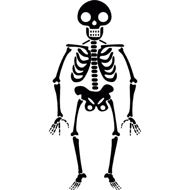 Skeleton PNG    图片编号:42642