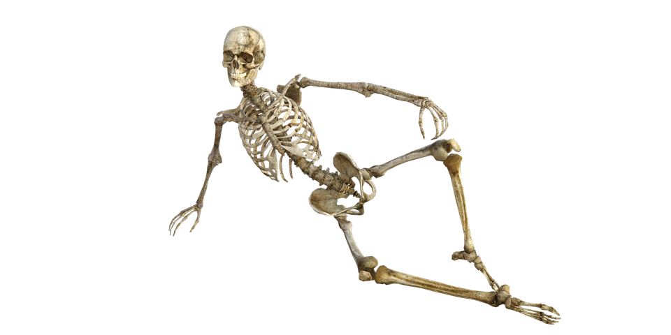 Skeleton PNG    图片编号:42647