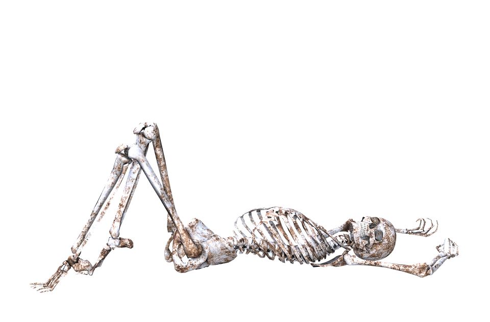 Skeleton PNG    图片编号:42648