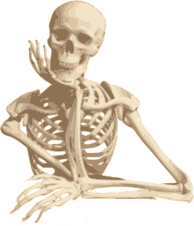 Skeleton PNG    图片编号:42650