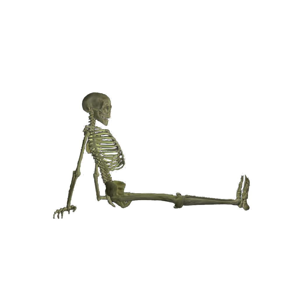 Skeleton PNG    图片编号:42654