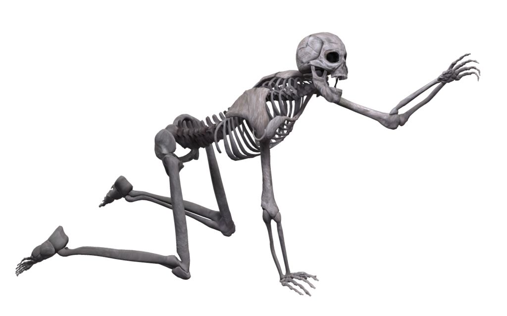 Skeleton PNG    图片编号:42655