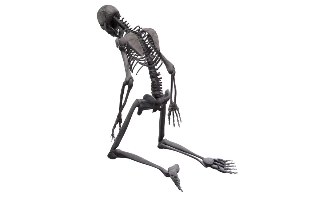 Skeleton PNG    图片编号:42656