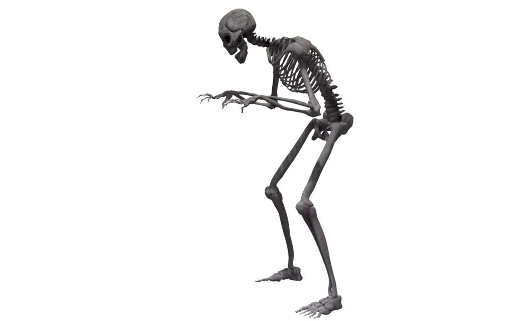 Skeleton PNG    图片编号:42657