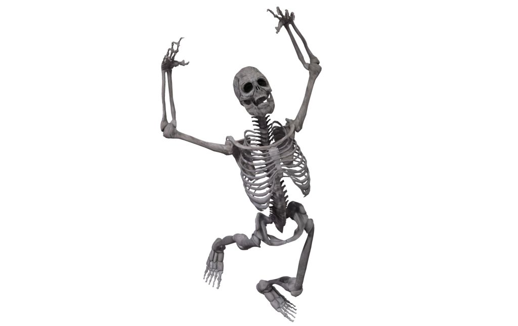 Skeleton PNG    图片编号:42660