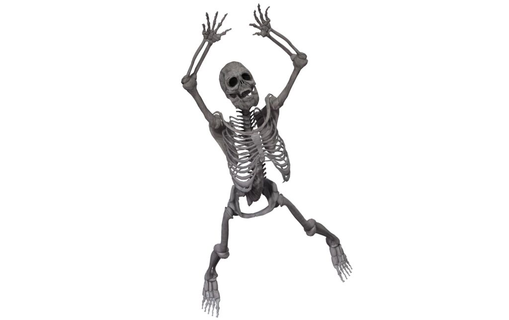Skeleton PNG    图片编号:42662