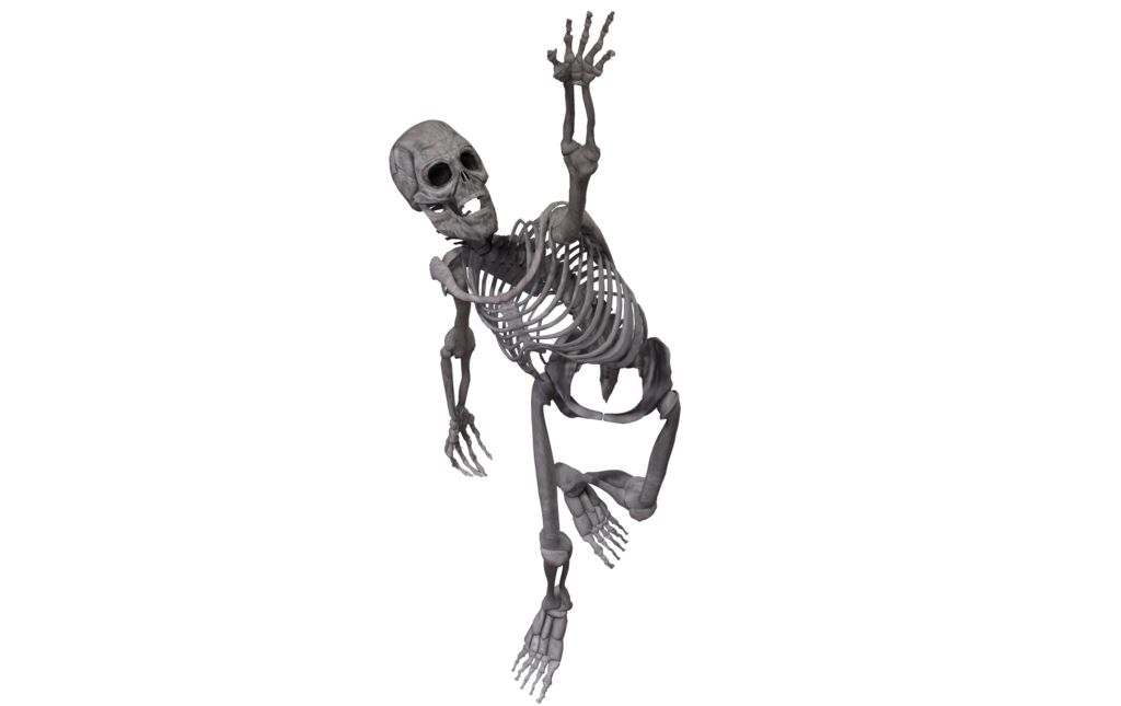 Skeleton PNG    图片编号:42663