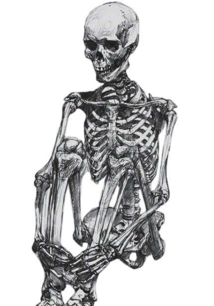 Skeleton PNG    图片编号:42668