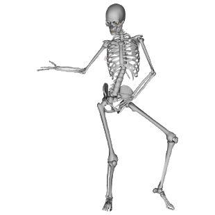 Skeleton PNG    图片编号:42669