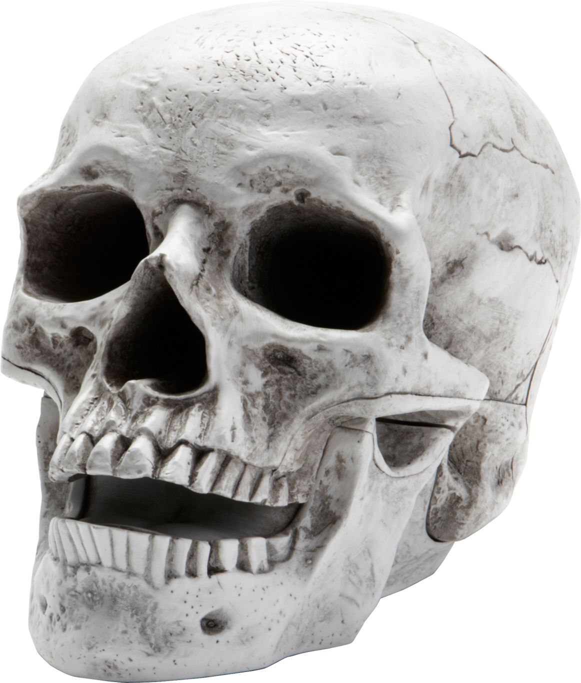 Skull PNG image    图片编号:5529