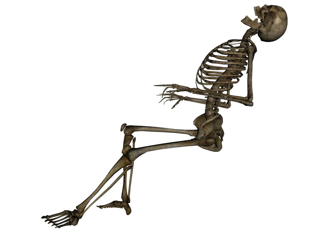 Skeleton PNG image    图片编号:5536
