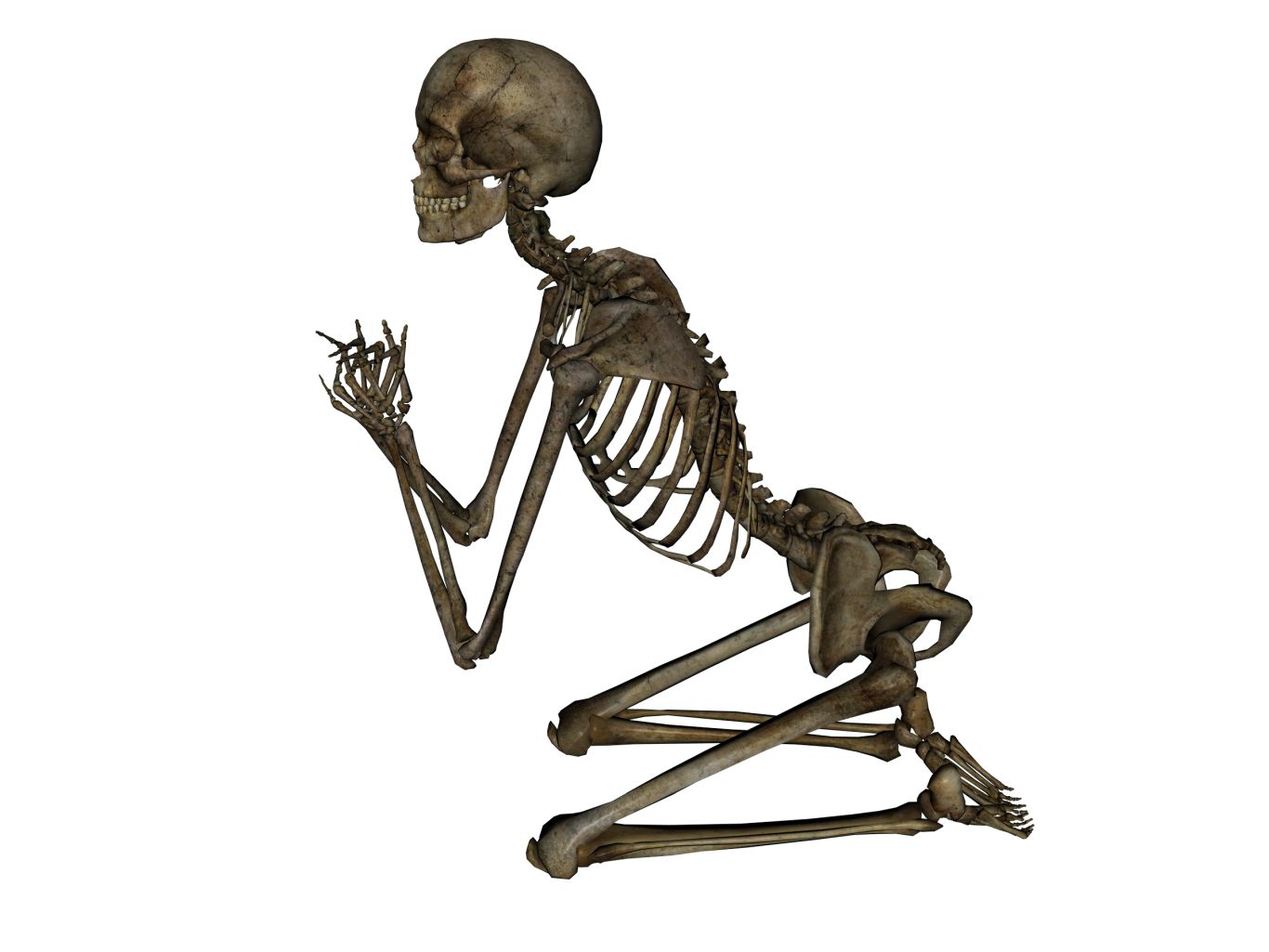 Skeleton PNG image    图片编号:5538