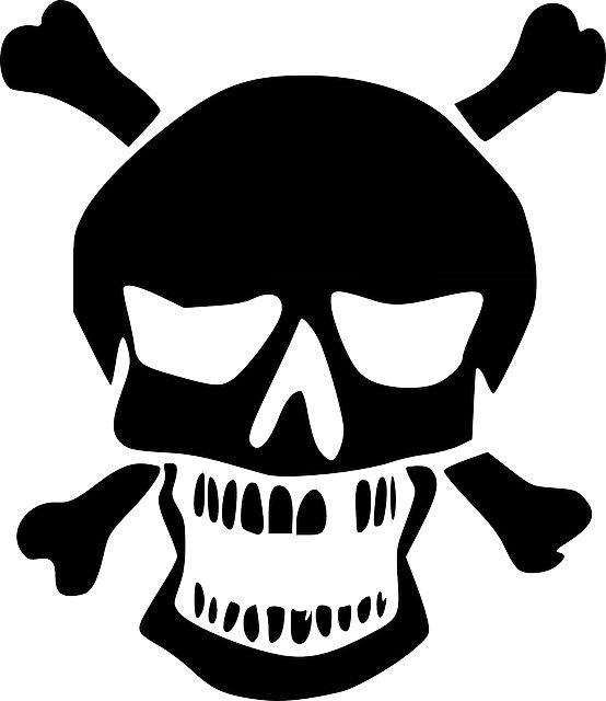 Skull logo PNG image    图片编号:5554