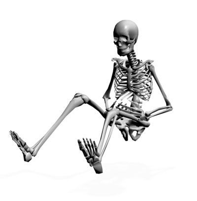 Skeleton PNG image    图片编号:5557