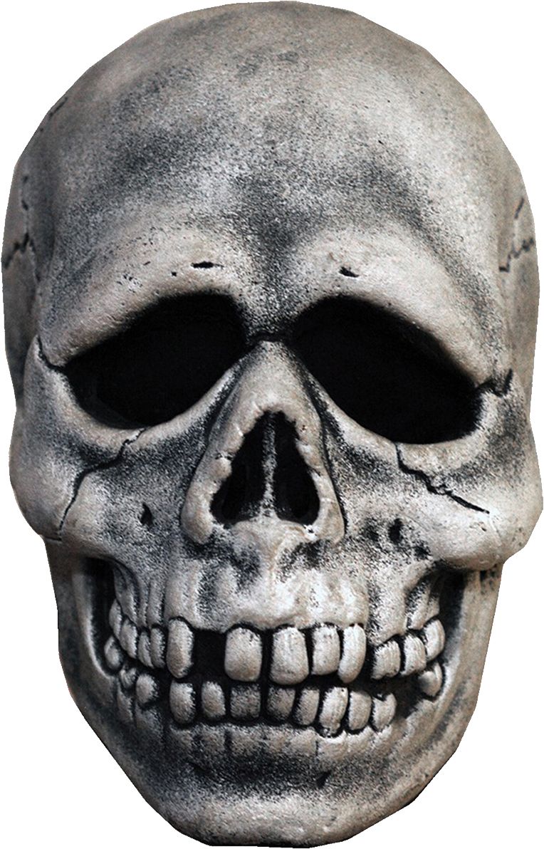 Skull PNG    图片编号:42544